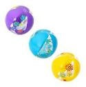 Beach Ball 51cm Print